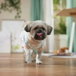 Frisco Vintage Tropical Dog & Cat Pocket T-Shirt -Pet Cat Shop 556598 PT5. AC SS1800 V1675101997