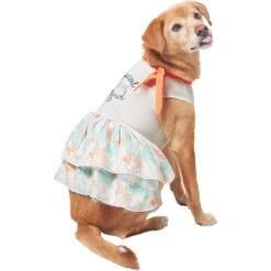 Frisco Tropical State Of Mind Dog & Cat Dress 10 Frisco Tropical State Of Mind Dog & Cat Dress -Pet Cat Shop 556742 PT3. AC SS1800 V1675103177