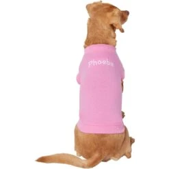 Frisco Personalized Basic Dog & Cat T-Shirt -Pet Cat Shop 557438 PT2. AC SS1800 V1662738086