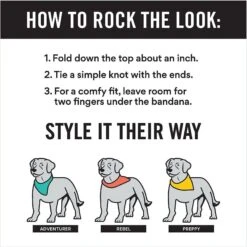 Frisco Gingerbread Treats Personalized Dog & Cat Bandana -Pet Cat Shop 564502 PT2. AC SS1800 V1660250859