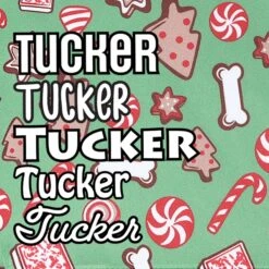 Frisco Gingerbread Treats Personalized Dog & Cat Bandana -Pet Cat Shop 564502 PT4. AC SS1800 V1660250970