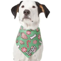 Frisco Gingerbread Treats Personalized Dog & Cat Bandana -Pet Cat Shop 564502 PT6. AC SS1800 V1660405305
