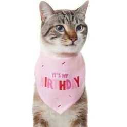 Frisco Dog & Cat Birthday Bandana -Pet Cat Shop 608206 PT2. AC SS1800 V1676644511