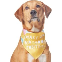 Frisco Wake Up Positive Dog & Cat Bandana 11 Frisco Wake Up Positive Dog & Cat Bandana -Pet Cat Shop 608230 PT3. AC SS1800 V1676643831