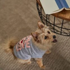 Frisco I Love Daddy Heart Dog & Cat T-Shirt -Pet Cat Shop 608262 PT7. AC SS1800 V1676585954