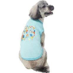 Frisco Birthday Celebration Dog & Cat T-Shirt -Pet Cat Shop 608318 PT3. AC SS1800 V1676643253