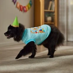 Frisco Birthday Celebration Dog & Cat T-Shirt -Pet Cat Shop 608318 PT7. AC SS1800 V1676643247