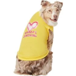 Frisco Mama's Sunshine Dog & Cat T-Shirt 8 Frisco Mama's Sunshine Dog & Cat T-Shirt -Pet Cat Shop 608446 PT3. AC SS1800 V1676586071