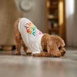 Frisco Good Vibes Only Dog & Cat T-Shirt -Pet Cat Shop 608518 PT7. AC SS1800 V1676644453