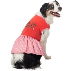 Frisco Time To Shine Dog & Cat Dress -Pet Cat Shop 608638 PT3. AC SS1800 V1676644904