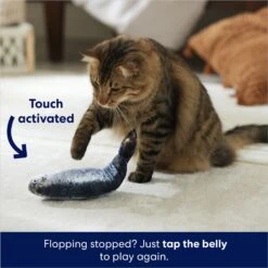 Frisco Interactive Flopping Fish Electronic Cat Toy With Catnip 10 Frisco Interactive Flopping Fish Electronic Cat Toy With Catnip -Pet Cat Shop 632798 PT4. AC SS1800 V1679513800