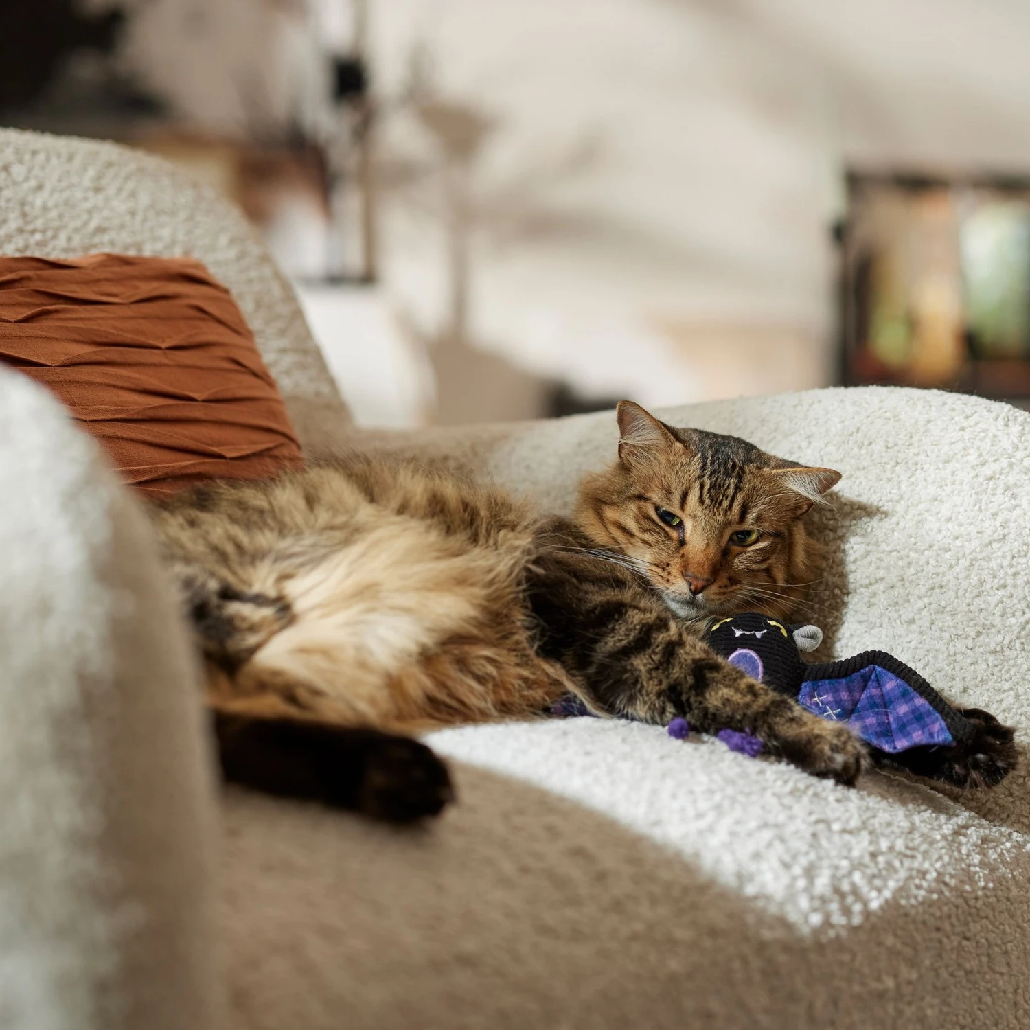 Frisco Halloween Cutie Bat Plush Cat Toy With Catnip 3 Frisco Halloween Cutie Bat Plush Cat Toy With Catnip - Image 3