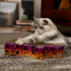 Frisco Halloween Ghost Swirl Scratcher Cat Toy With Catnip -Pet Cat Shop 668230 PT3. AC SS1800 V1689343997