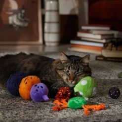 Frisco Halloween Mystical Variety Pack Plush & Balls Cat Toy With Catnip -Pet Cat Shop 668374 PT3. AC SS1800 V1689282492