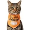 Frisco Hey There Pumpkin Dog & Cat Bandana
