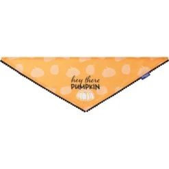Frisco Hey There Pumpkin Dog & Cat Bandana 10 Frisco Hey There Pumpkin Dog & Cat Bandana -Pet Cat Shop 706374 PT3. AC SS1800 V1689282446