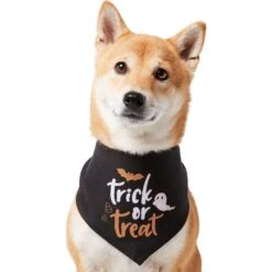 Frisco Trick Or Treat Dog & Cat Bandana 9 Frisco Trick Or Treat Dog & Cat Bandana -Pet Cat Shop 706398 PT2. AC SS1800 V1690478415
