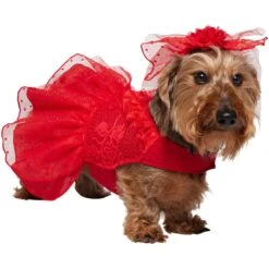 Frisco Red Ruffle Dog & Cat Dress + Headpiece -Pet Cat Shop 707286 PT2. AC SS1800 V1689355022