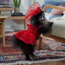 Frisco Red Ruffle Dog & Cat Dress + Headpiece -Pet Cat Shop 707286 PT7. AC SS1800 V1689351702