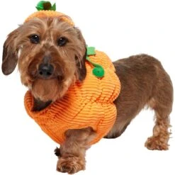 Frisco Pumpkin Ball Dog & Cat Costume -Pet Cat Shop 708902 PT2. AC SS1800 V1689351041