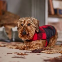 Frisco Reversible Medium Weight Boulder Plaid Dog & Cat Coat -Pet Cat Shop 717846 PT7. AC SS1800 V1692375977