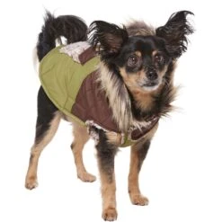 Frisco Heavy Weight 2-Tone Sherpa Lined Hybrid Quilted Dog & Cat Parka -Pet Cat Shop 718038 PT2. AC SS1800 V1703184683
