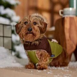 Frisco Heavy Weight 2-Tone Sherpa Lined Hybrid Quilted Dog & Cat Parka -Pet Cat Shop 718038 PT7. AC SS1800 V1692378337