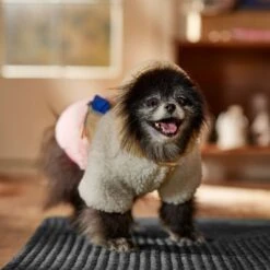 Frisco Colorblock Fleece Dog & Cat Hoodie W/ Pocket 16 Frisco Colorblock Fleece Dog & Cat Hoodie W/ Pocket -Pet Cat Shop 718278 PT7. AC SS1800 V1692375977