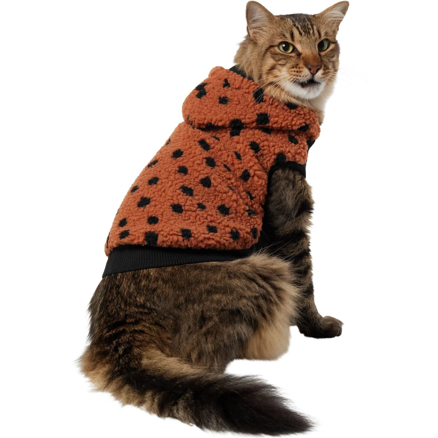 Frisco Dotted Dog & Cat Hoodie 1 Frisco Dotted Dog & Cat Hoodie