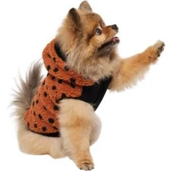 Frisco Dotted Dog & Cat Hoodie 11 Frisco Dotted Dog & Cat Hoodie -Pet Cat Shop 718326 PT2. AC SS1800 V1703184630