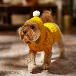 Frisco Sherpa Lined Chunky Cable Knit Dog & Cat Hooded Sweater -Pet Cat Shop 718374 PT7. AC SS1800 V1692379031