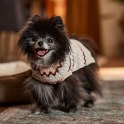 Frisco Sherpa Lined Fairisle Dog & Cat Sweater -Pet Cat Shop 718422 PT7. AC SS1800 V1692378098