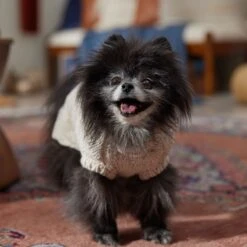 Frisco Sherpa Lined Chunky Cable Knit Dog & Cat Sweater 14 Frisco Sherpa Lined Chunky Cable Knit Dog & Cat Sweater -Pet Cat Shop 718518 PT7. AC SS1800 V1692378338