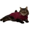 Frisco Cozy Textured Chenille Dog & Cat Sweater