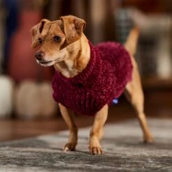 Frisco Cozy Textured Chenille Dog & Cat Sweater -Pet Cat Shop 718614 PT7. AC SS1800 V1692378337