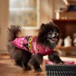 Frisco Bold Nordic V-Neck Dog & Cat Sweater -Pet Cat Shop 718710 PT7. AC SS1800 V1692377763