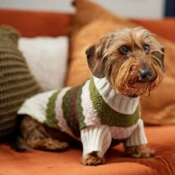 Frisco Bubble Knit Multi Striped Mock Neck Dog & Cat Sweater -Pet Cat Shop 718854 PT7. AC SS1800 V1692378688