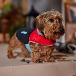 Frisco Medium Weight Retro Colorblock Mixed Media Dog & Cat Coat -Pet Cat Shop 719462 PT7. AC SS1800 V1692379031