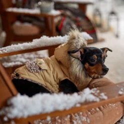 Frisco Heavy Weight Matte Quilted Dog & Cat Parka With Cozy Fleece Lining -Pet Cat Shop 719654 PT7. AC SS1800 V1692376037