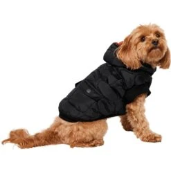 Frisco Heavy Weight Matte Quilted Volume Dog & Cat Puffer 11 Frisco Heavy Weight Matte Quilted Volume Dog & Cat Puffer -Pet Cat Shop 719750 PT2. AC SS1800 V1703184628