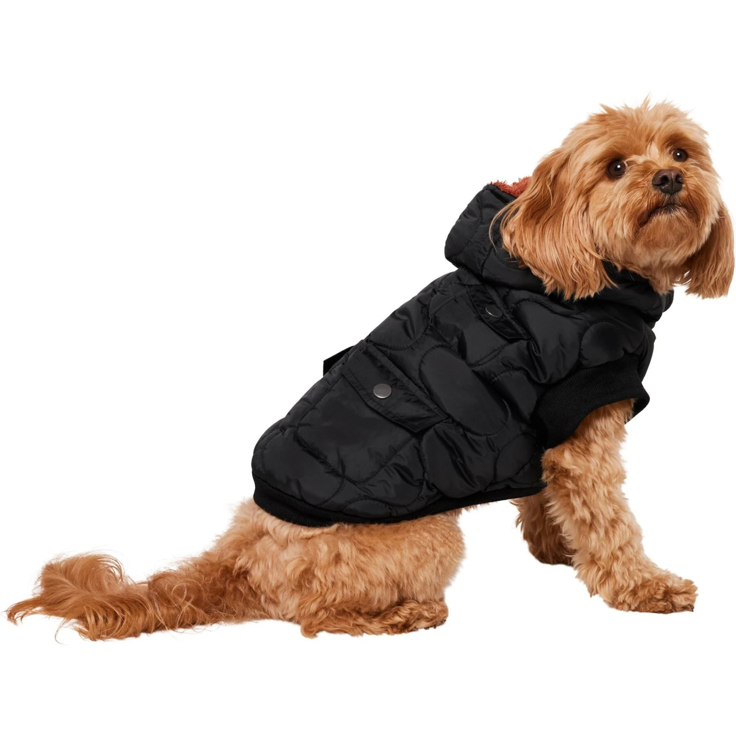 Frisco Heavy Weight Matte Quilted Volume Dog & Cat Puffer 3 Frisco Heavy Weight Matte Quilted Volume Dog & Cat Puffer - Image 3