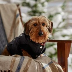 Frisco Heavy Weight Matte Quilted Volume Dog & Cat Puffer 16 Frisco Heavy Weight Matte Quilted Volume Dog & Cat Puffer -Pet Cat Shop 719750 PT7. AC SS1800 V1692377763