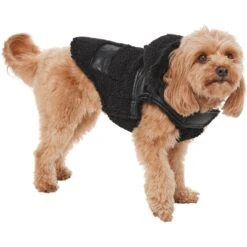 Frisco Medium Weight Faux Leather Dog & Cat Parka With Faux Fur Trimmed Hood, Black -Pet Cat Shop 719798 PT2. AC SS1800 V1703184628