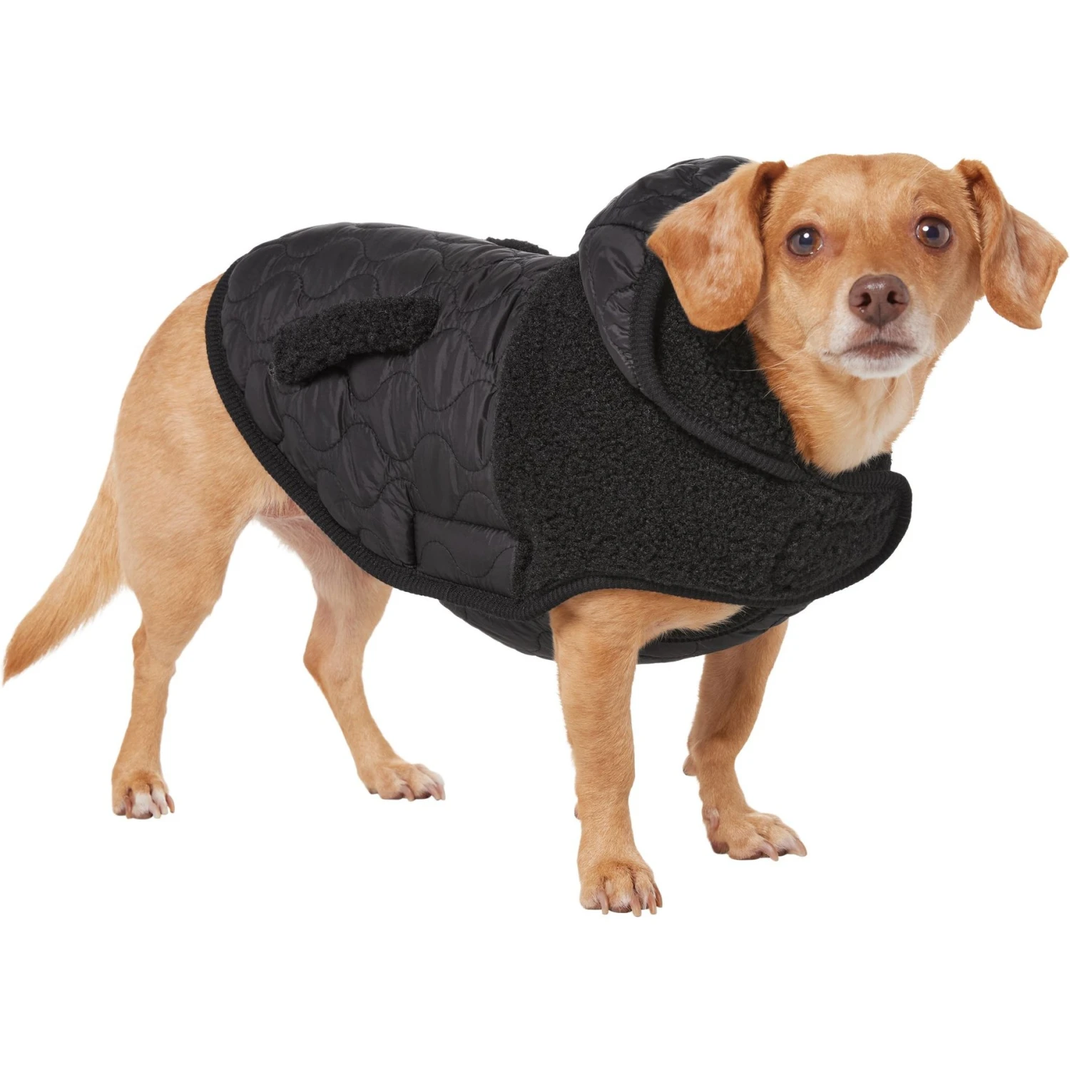 Frisco Heavy Weight Dog & Cat Quilted Hybrid Coat With Sherpa Lining 3 Frisco Heavy Weight Dog & Cat Quilted Hybrid Coat With Sherpa Lining - Image 3