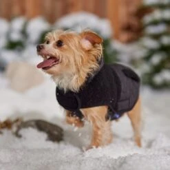 Frisco Heavy Weight Dog & Cat Quilted Hybrid Coat With Sherpa Lining 16 Frisco Heavy Weight Dog & Cat Quilted Hybrid Coat With Sherpa Lining -Pet Cat Shop 719918 PT7. AC SS1800 V1692376306