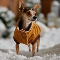 Frisco Heavy Weight Lux Corduroy Insulated Dog & Cat Coat With Fur Trimmed Hood 16 Frisco Heavy Weight Lux Corduroy Insulated Dog & Cat Coat With Fur Trimmed Hood -Pet Cat Shop 719966 PT7. AC SS1800 V1692377819