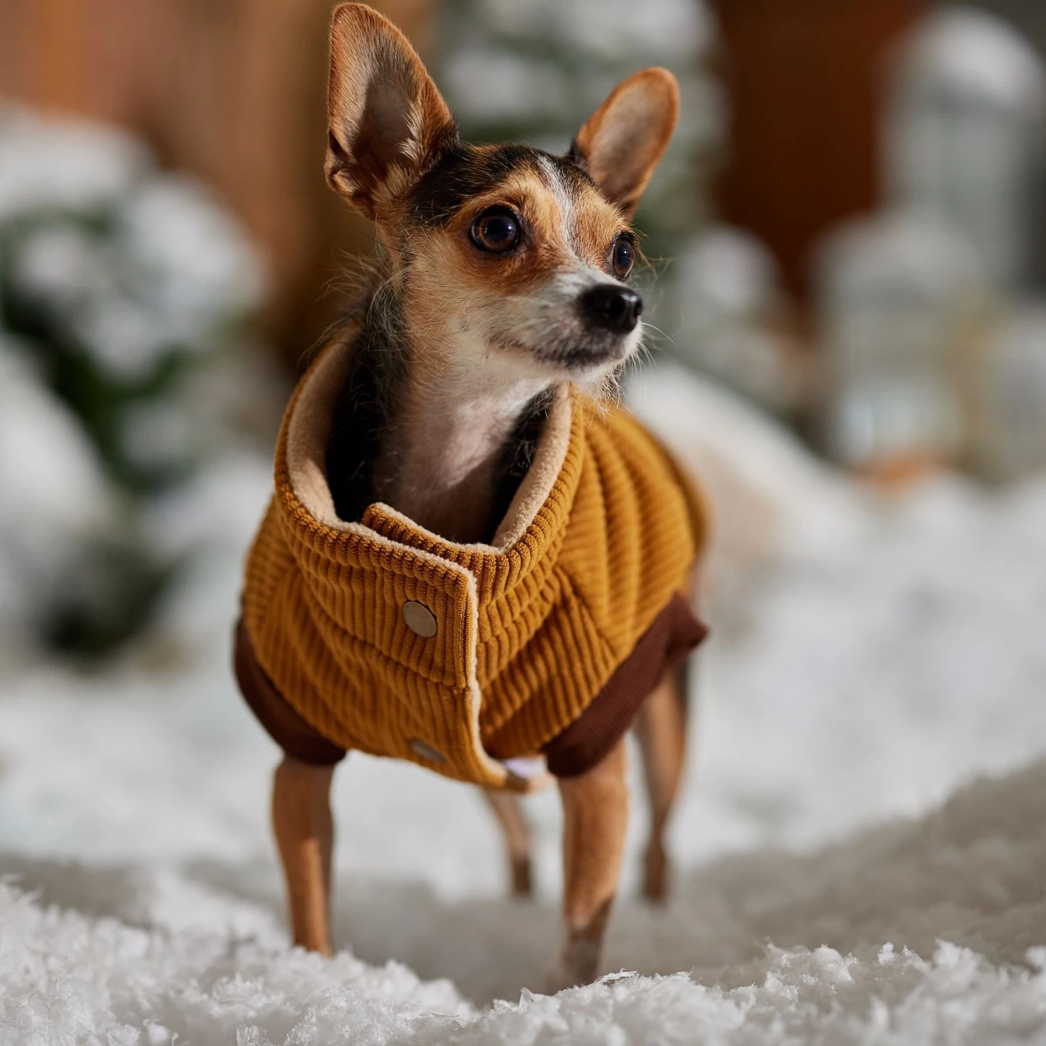 Frisco Heavy Weight Lux Corduroy Insulated Dog & Cat Coat With Fur Trimmed Hood 8 Frisco Heavy Weight Lux Corduroy Insulated Dog & Cat Coat With Fur Trimmed Hood - Image 8