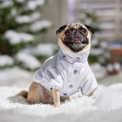 Frisco Heavy Weight Iridescent Quilted Dog & Cat Hooded Puffer Coat -Pet Cat Shop 720038 PT7. AC SS1800 V1692377880