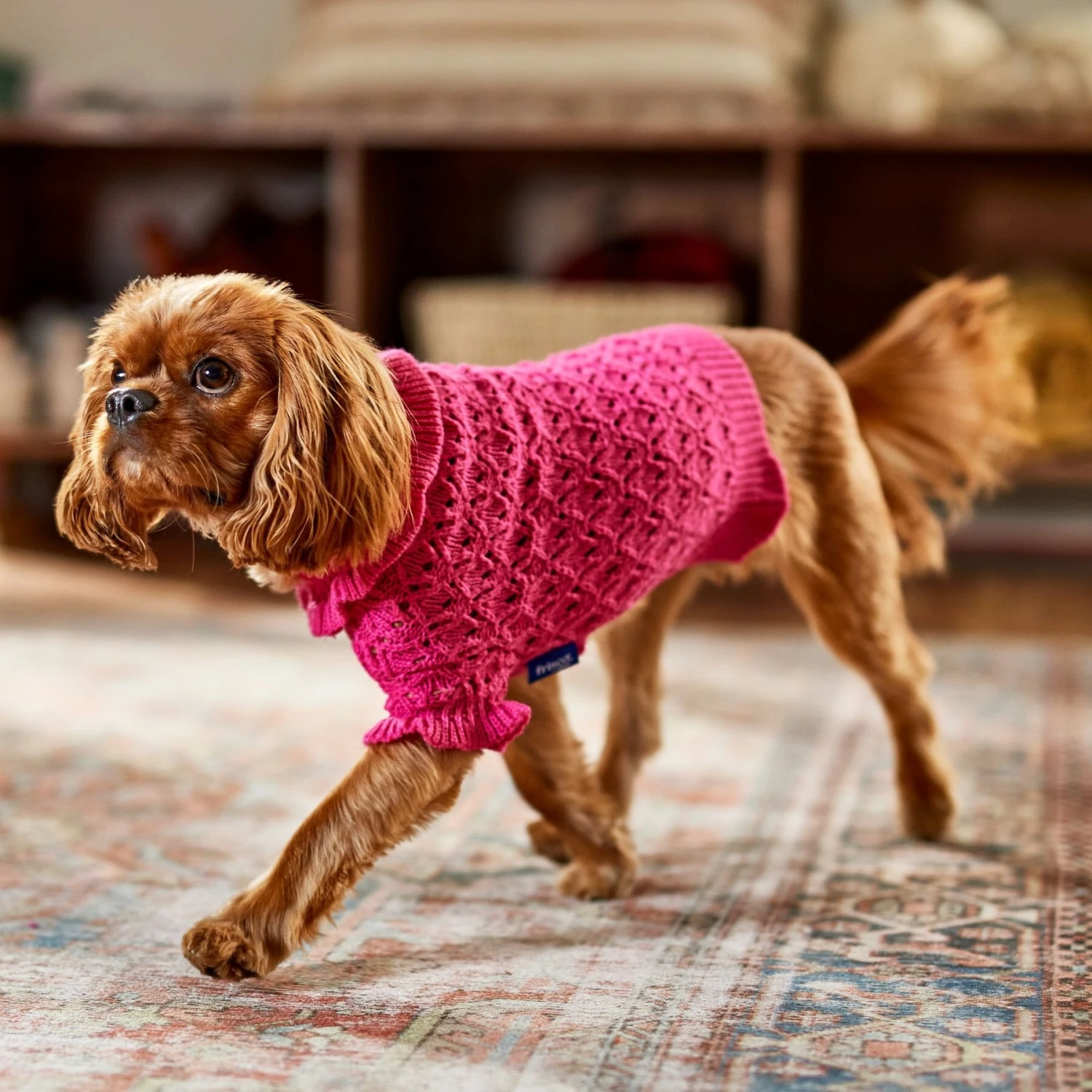 Frisco Ruffle Knit Pointelle Dog & Cat Turtleneck Sweater 7 Frisco Ruffle Knit Pointelle Dog & Cat Turtleneck Sweater - Image 7