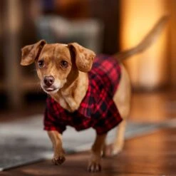 Frisco Red Tartan Plaid Dog & Cat Flannel Shirt -Pet Cat Shop 720790 PT7. AC SS1800 V1693401090